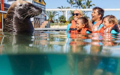 All the Best Attractions to Enjoy Near Our Seaworld Accommodation