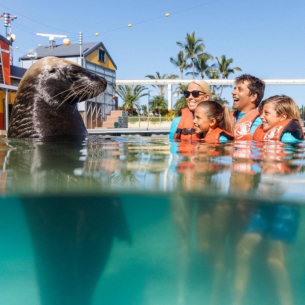 Seaworld seal aqua adventure